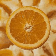 Orange Fruit GIF Orange Fruit Unkrautgedeihtaufkunstrasen Descubra