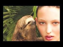Whispering Sloth Blank Template Imgflip