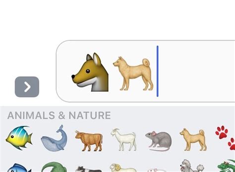 What Breed Of Dog Is The Dog Emoji