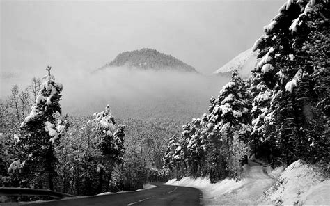 Winter In The Mountain In Monochrome Forest Road Winter Mountains