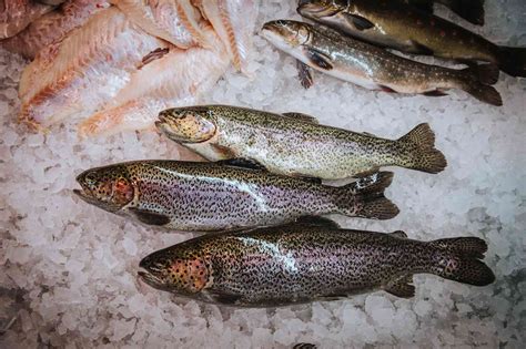 240m² angeboten wird dieser wunderschöne landwirtschaftliche betrieb im landkreis landsberg, inklusive bauernhaus mit 240 m² wohnfläche auf 1870 m² siedlungsgrundstück, diverser großzügiger stallungen, vier garagen, vier weiteren außenstellplätzen, riesigen lan. Angelkarte kaufen am Ammersee | Fischerei Gastl