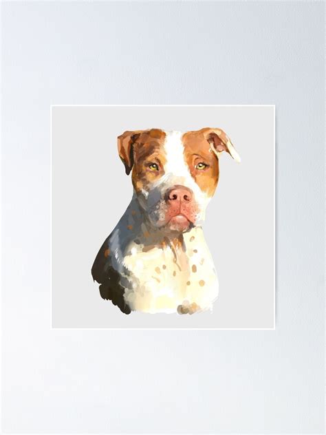 Ginger And White Pitbull Terrier Poster For Sale By Cottonkiosk Redbubble