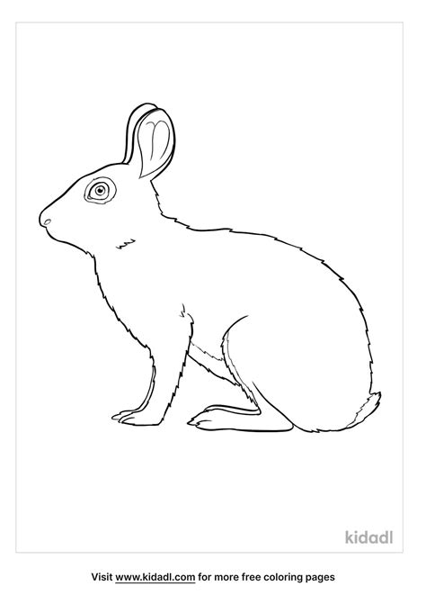 Free Eastern Cottontail Rabbit Coloring Page Coloring Page Printables