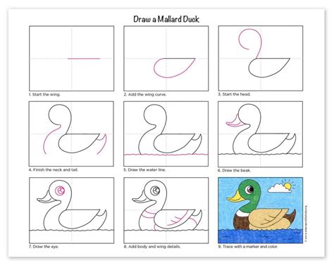 5 a pond of ducks. How to Draw a Duck · Art Projects for Kids
