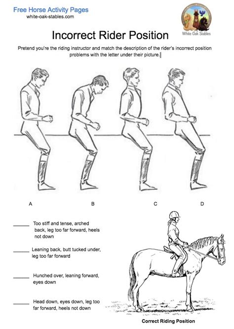 Pin On Helpful Horse Lesson Info