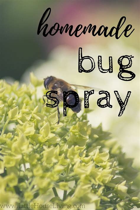 Homemade Pest Spray For Gardens With Images Homemade