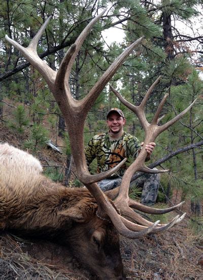 Missoula Hunter Bags Gigantic Bull Elk In Snowy Mountains Montana