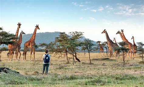 Best Walking Safari Thomson Safaris