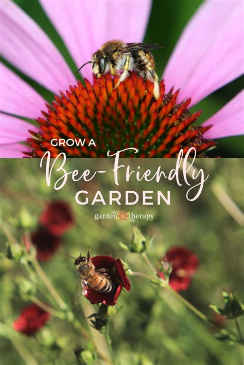 Flowers For Bees Grow A Bee Friendly Garden Garden Therapy
