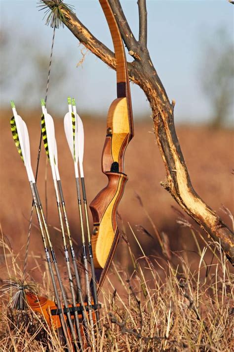 Best Recurve Bow For The Money 2018 Buying Guide Bullseye Hunting
