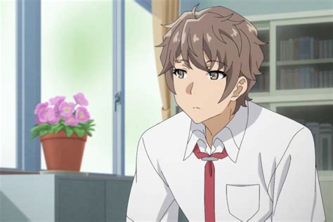 Who Are The Bunny Girl Senpai Characters En