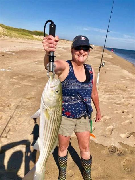 Surfland Bait And Tackle Plum Island Fishing