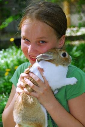 Consider a Petting Zoo Rental for Your Child’s Party