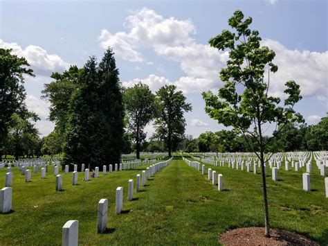 How To Visit Arlington National Cemetery During A Layover At Reagan