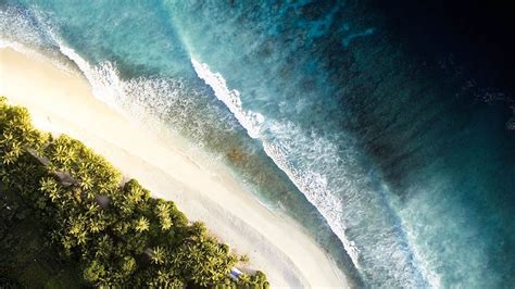 Wallpaper Ocean Palm Trees Aerial View Waves Surf Shore Hd