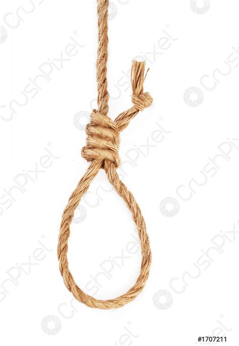Gallows Hanging Rope Knot Isolated On White Background Stock Photo