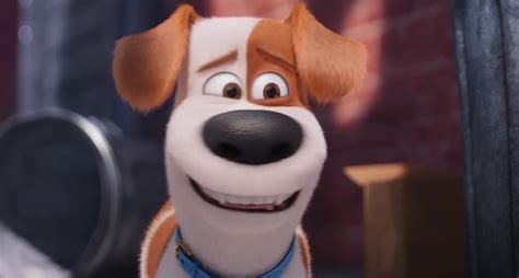 Onegbfiles Download The Secret Life Of Pets 2016