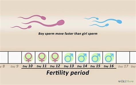 Positions To Conceive A Boy Pregnant With A Girl Baby Boy Tips