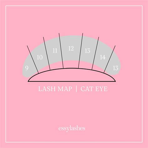 Cat Eye Lash Map Eyelash Extensions Cat Eye Lash Eyelash Extentions