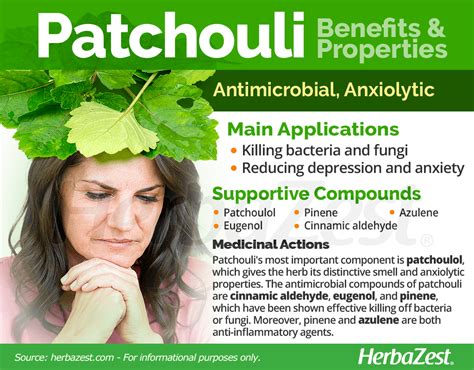 Patchouli Herbazest