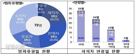 범인 상당수 10대 경찰 성 착취물 제작판매유포자 72명 검거 네이트 뉴스