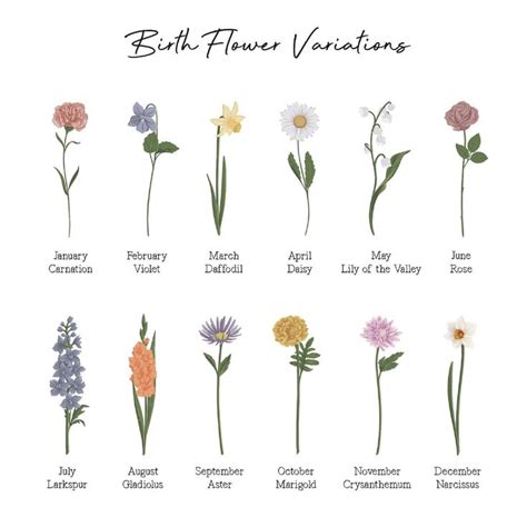 The Different Types Of Wildflowers That Are In Each Flower Species And