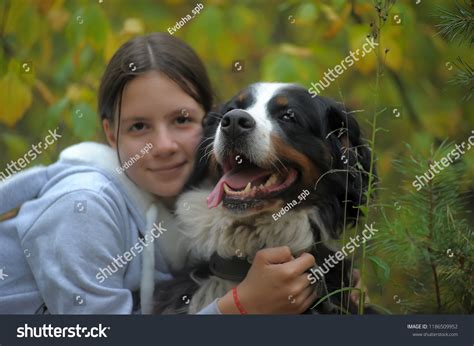 Bernese Mountain Dog Girl Teenage Girl Stock Photo 1186509952