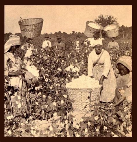 Vrouwen Moesten Vaak Op Zulke Stukken Land Werken African American