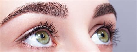 How To Grow Thick Eyebrows Naturally Blog By Womens Best