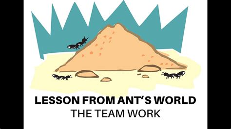 The Team Work Of Ants Youtube