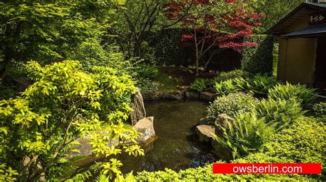 Pflegetipps & hilfe zum anlegen eines japanischen gartens. Japanischer Garten, Berlin, Deutschland Японский сад ...
