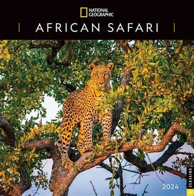 National Geographic African Safari 2024 Wall Calendar Book Summary