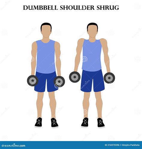 Dumbbell Shoulder Shrug Exercise Strength Workout Illustration Stock