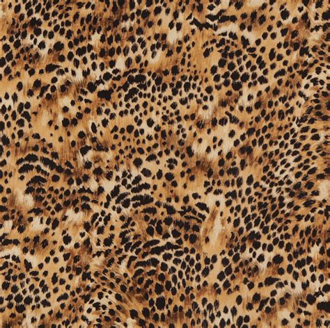 Jungle Black And Gold Cheetah Short Faux Animal Print