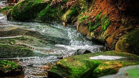 Free Images Landscape Tree Nature Forest Grass Rock Waterfall