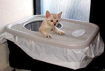 Size not all cats are the same size, which means not all litter boxes should be, either. Clevercat Top Entry Litter Box