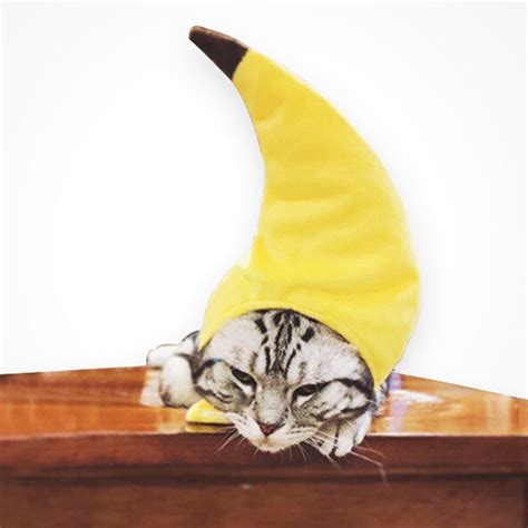 Banana Hat Cat Costume Only Cat Shirts