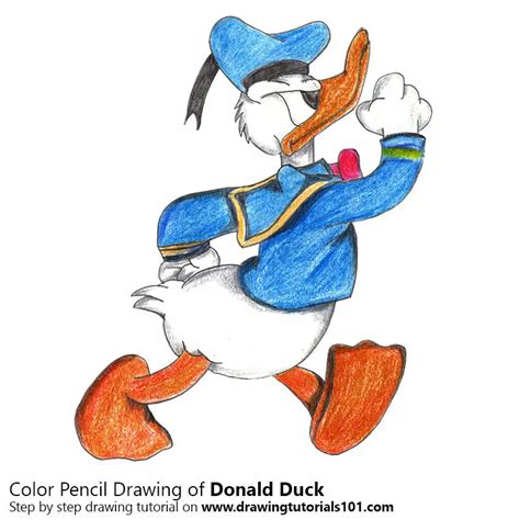 Donald Duck Colored Pencils Drawing Donald Duck With Color Pencils