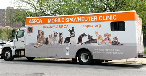We offer services for all stages of a pet's life, from puppy and kitten care to those often . Mobile Veterinary Services Llc - inspire ideas 2022