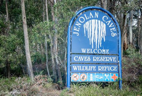 Jenolan Caves Blue Mountains Guide And Review