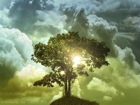 Scripturesight The Tree Of Life