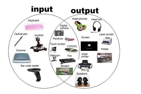 How does input make an output? Examples of input and output devices | Output device ...