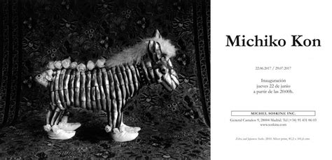 Michiko Kon Exhibitions Michel Soskine Inc Visual