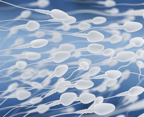 Spermim Sar Mt Rak Renkte Kat Par Alar Halinde Geliyor Cinselyorum Com