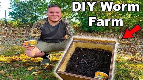 Building A Diy Worm Farm Youtube