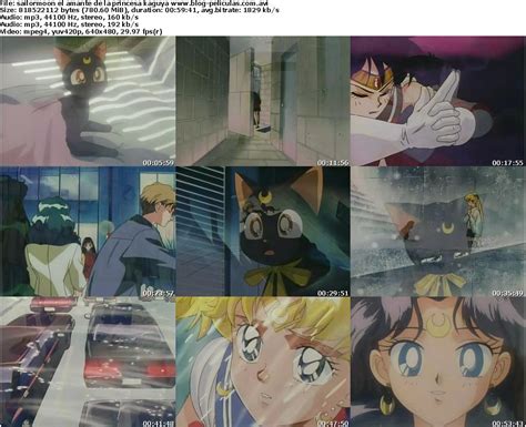 Sailor Moon S El Amor De La Princesa Kaguya Audio Latino
