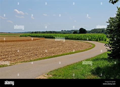 Landscape With Winding Country Road Stock Photo Alamy