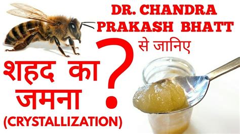 शहद क जमन Crystallization of HONEY is crystallized honey is fake Truth about crystallization