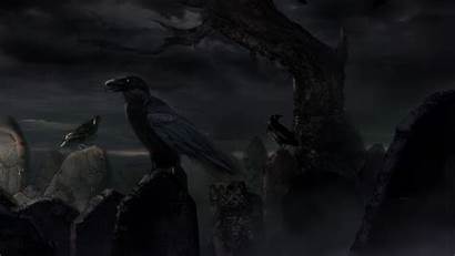 Crows Fall Wallpapers