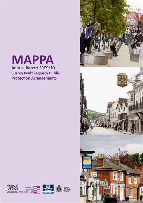 PDF MAPPA Report On The Multi Agency Public Protection Arrangements MAPPA In Surrey